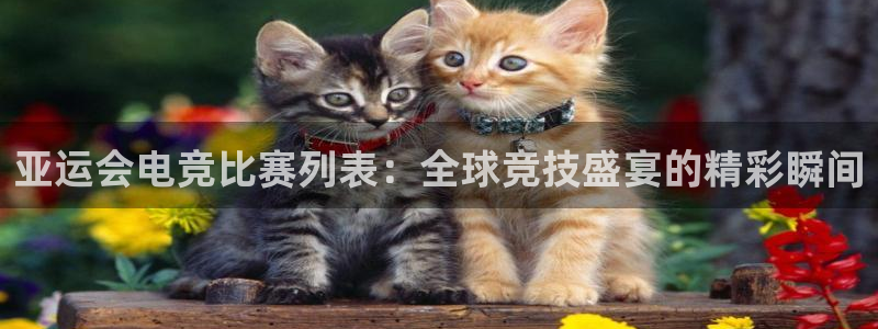 mk电子竞技：亚运会电竞比赛列表：全球竞技盛宴的精彩瞬间