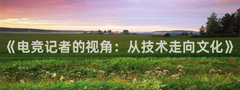 MK电竞官网：《电竞记者的视角：从技术走向文化》