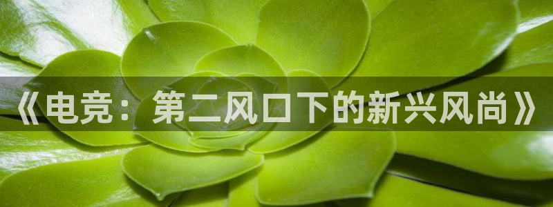 mk电子竞技：《电竞：第二风口下的新兴风尚》