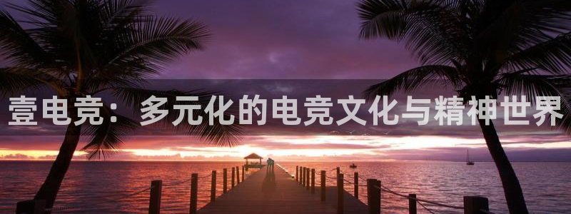 MK电竞官网：壹电竞：多元化的电竞文化与精神世界