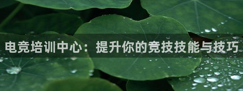 MK电竞：电竞培训中心：提升你的竞技技能与技巧