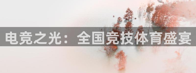 MK电竞官网：电竞之光：全国竞技体育盛宴