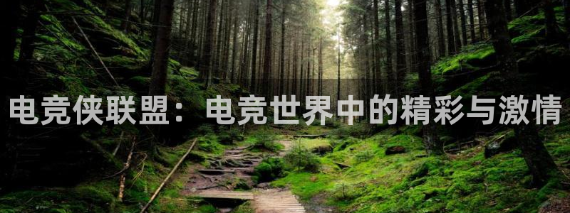 MK电竞官网