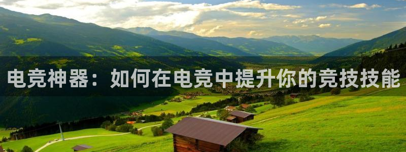 mk电子竞技