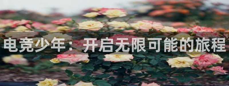 mk电子竞技