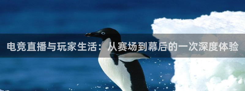 mk电子竞技：电竞直播与玩家生活：从赛场到幕后的一次深度体验