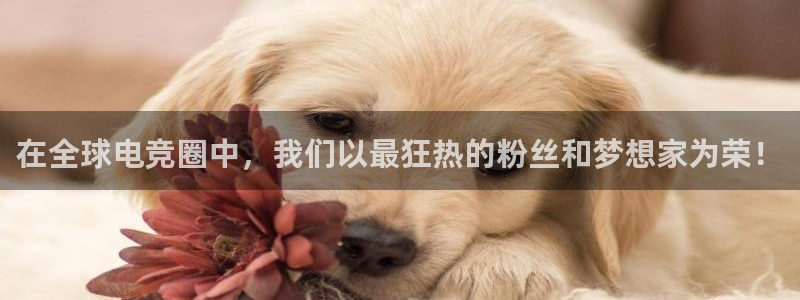 mk电子竞技：在全球电竞圈中，我们以最狂热的粉丝和梦想家为荣！