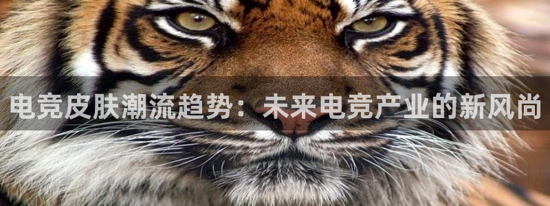 mk电子竞技：电竞皮肤潮流趋势：未来电竞产业的新风尚